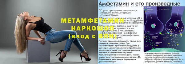 прущие крисы Тында