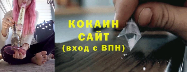 прущие крисы Тында