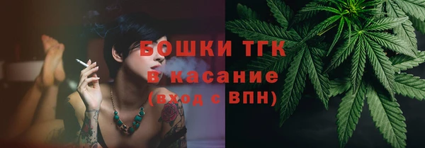 прущие крисы Тында