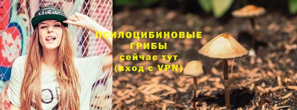 прущие крисы Тында
