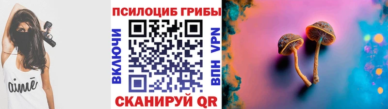Псилоцибиновые грибы прущие грибы  Берёзовка 