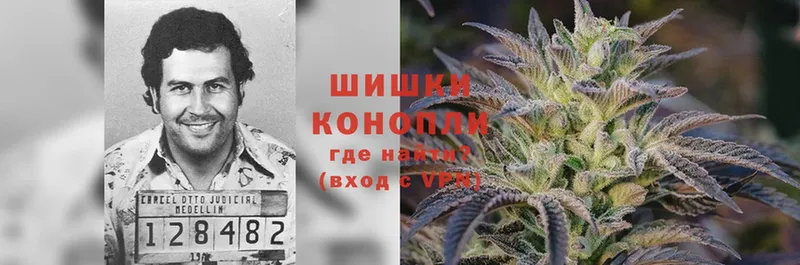 Каннабис SATIVA & INDICA  хочу наркоту  Берёзовка 